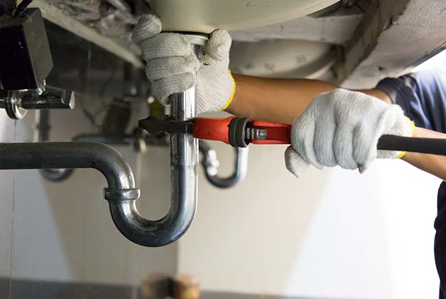 asd12345678plumber asd12345678plumber